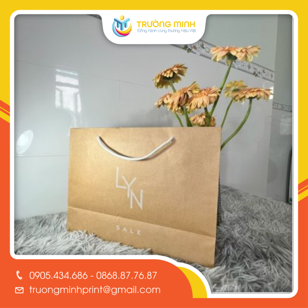 Túi giấy kraft nâu