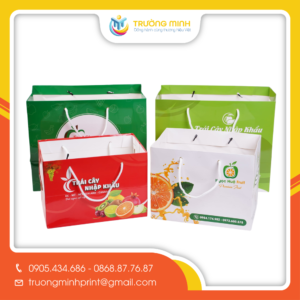 Túi giấy đựng hoa quả