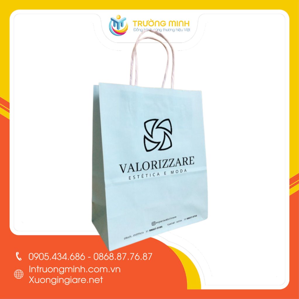 in túi giấy kraft trắng