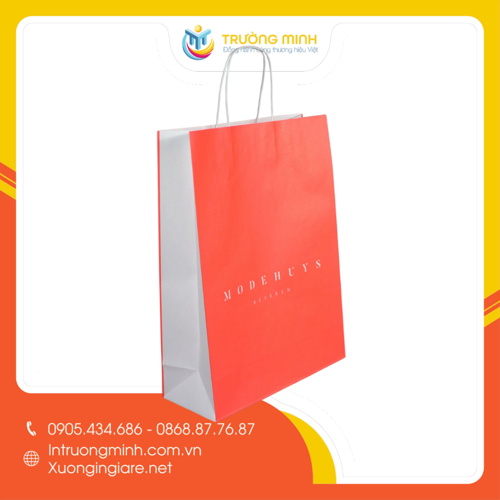 túi giấy kraft trắng